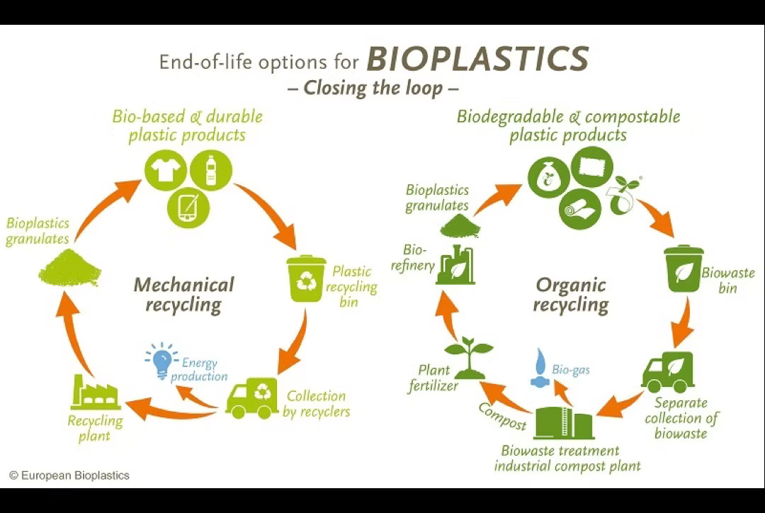 End of life options for BIOPLASTICS